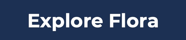 Explore Flora