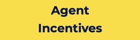 Agent Incentives